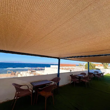 Tree House Hotel Dahab