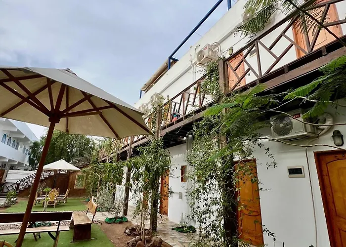 Tree House * Dahab