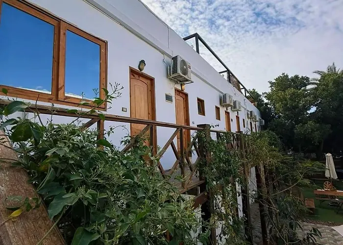 Tree House Szálloda